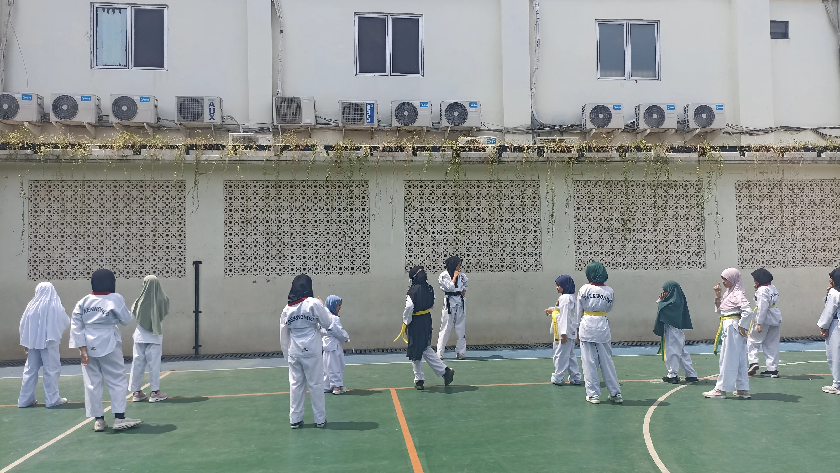 Taekwondo