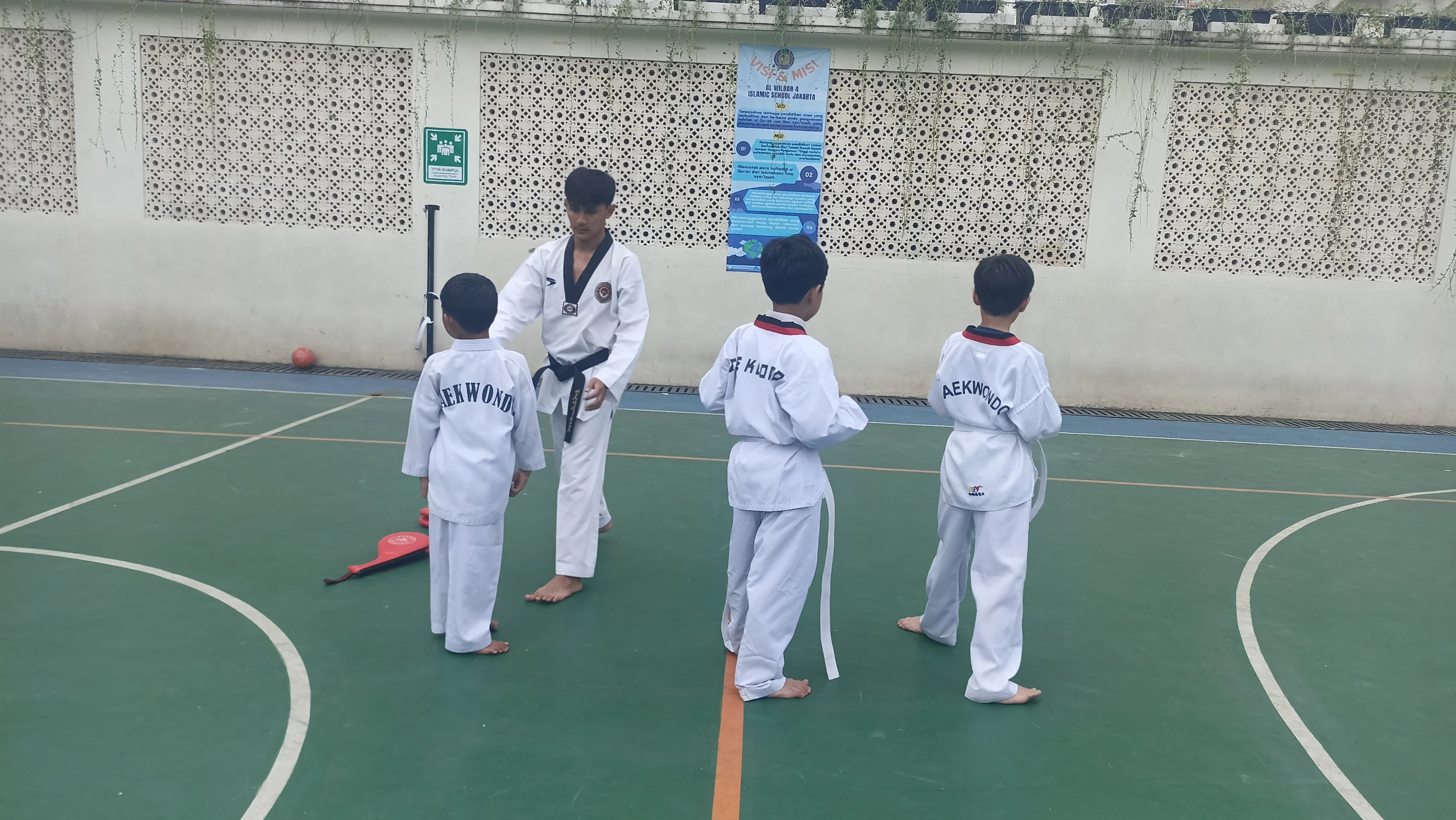 Taekwondo