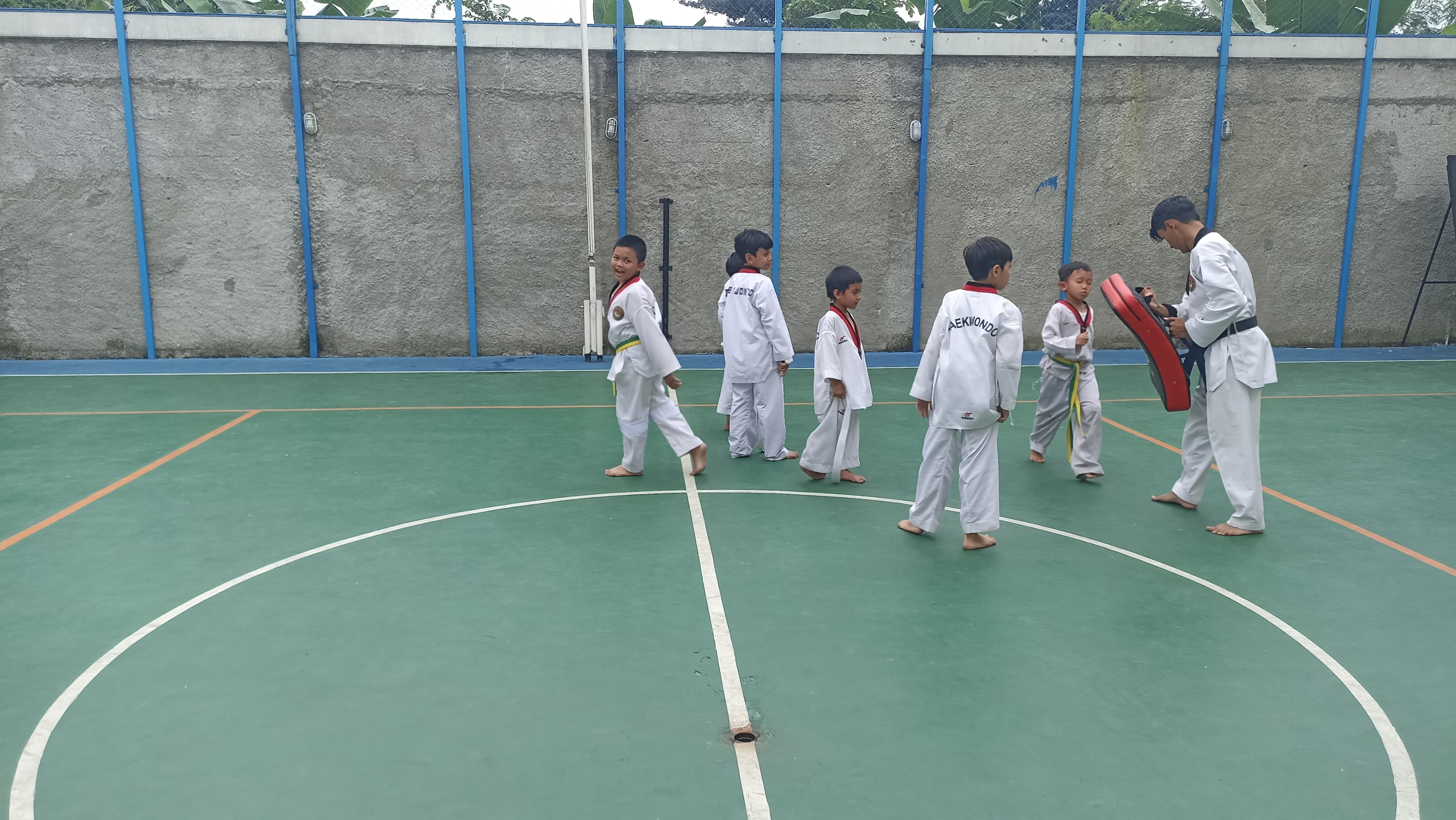 Taekwondo